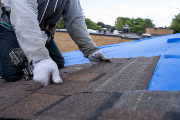 Best Shingle Roofing Installation  in Tignall, GA