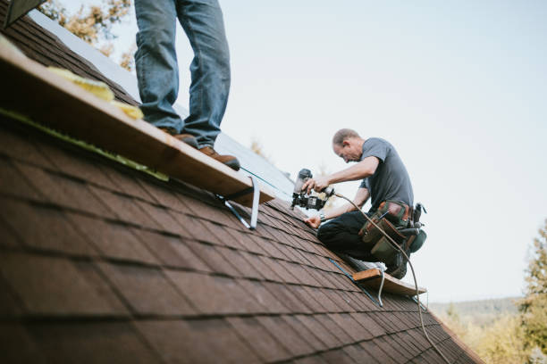 Best Roof Gutter Cleaning  in Tignall, GA